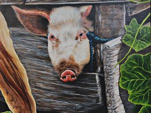 1_Pig-in-a-poke