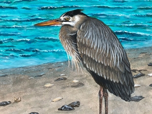 Egret on the Beach