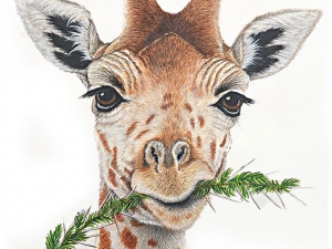 Giraffe with Sprig