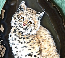 Bobcat on Brazilian Agate