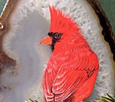 Cardinal on Brazilian Agate