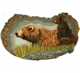 Bears