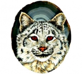 Bobcat-Face