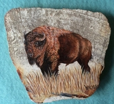Bison