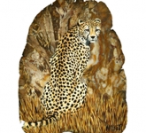 Cheetah-in-the-Grass