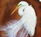 Egret