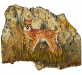 Fawn