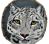 Snow-Leopard-Head